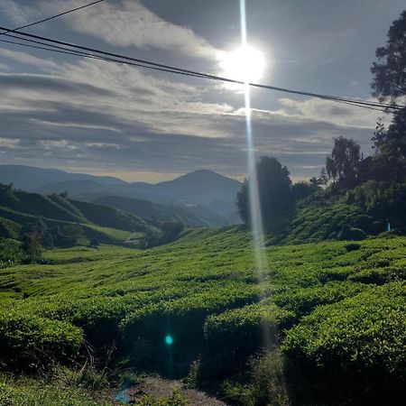 Love Lodge Brinchang, Cameron Highlands Tanah Rata Exterior photo