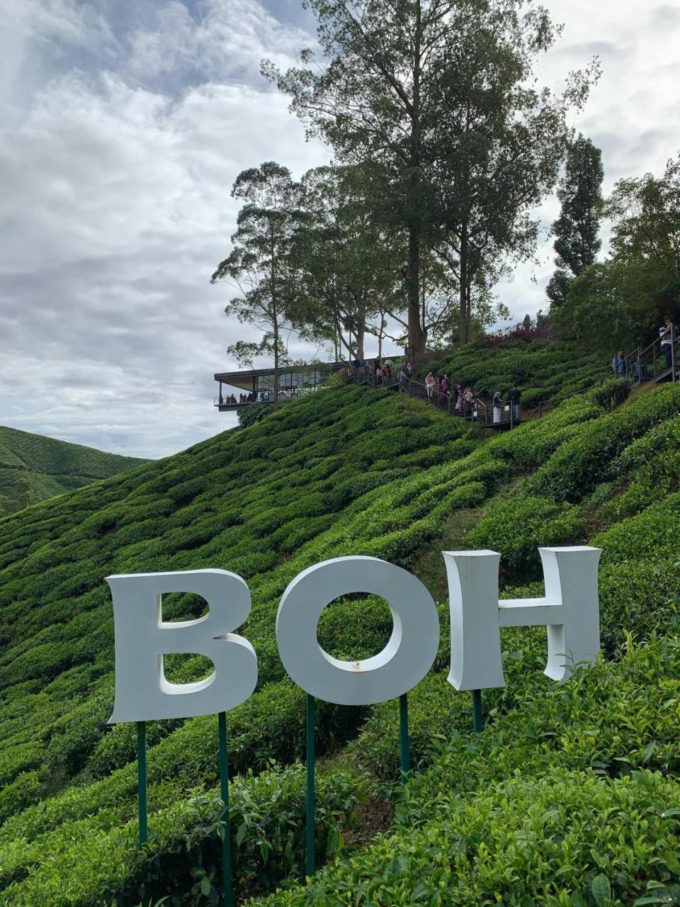 Love Lodge Brinchang, Cameron Highlands Tanah Rata Exterior photo