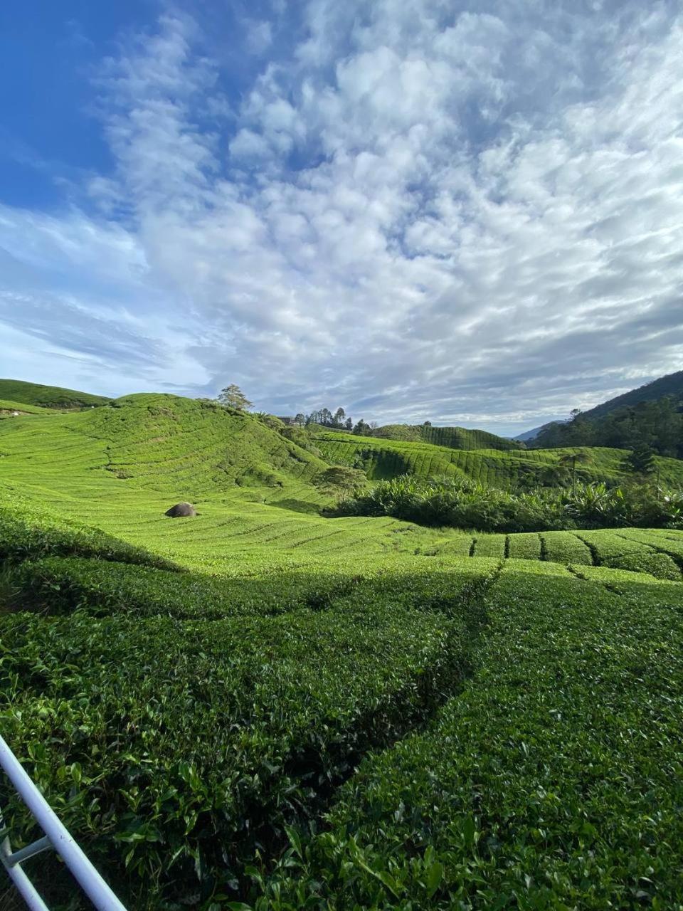 Love Lodge Brinchang, Cameron Highlands Tanah Rata Exterior photo